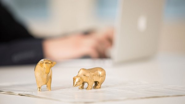 Risiko vs. Rendite: Die richtige Balance finden Ein goldener Stier und Bär stehen vor einem Laptop auf einem Schreibtisch