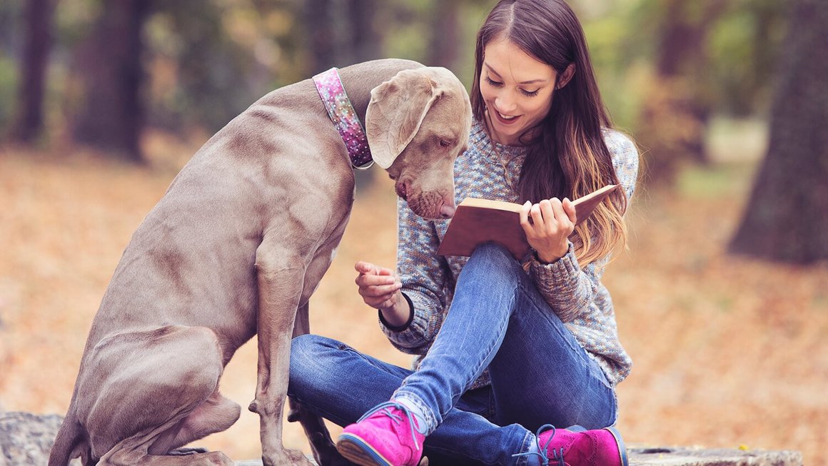 Junge Frau mit Hund liest ein Buch in der Natur beim Digital Detox Junge Frau mit Hund liest ein Buch in der Natur beim Digital Detox