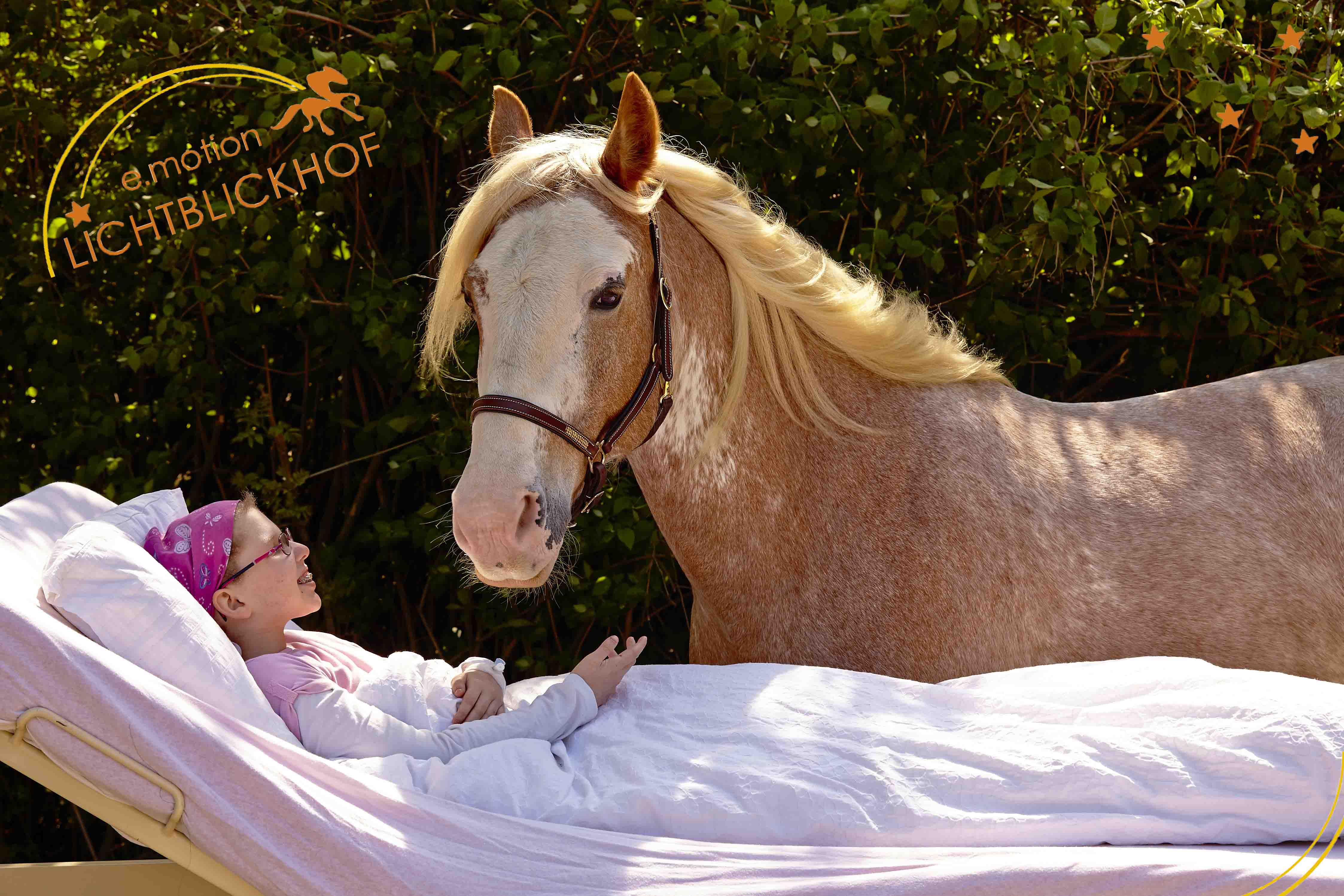 Ein Pferd steht im Garten neben dem Krankenbett eines Kindes.